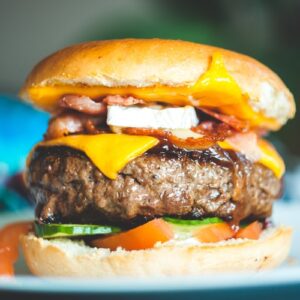 Pulled Chicken Burger